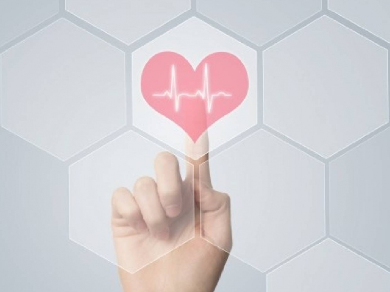 La Scienza del Cuore