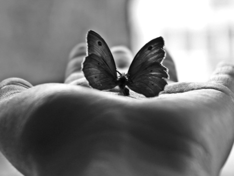 Cambiare: si deve. Ma come?